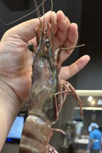 새우123 신림 호텔 어반 쿠폰