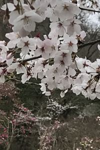 モエチャン 舒適度假村精品飯店優惠