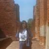 Alstonia