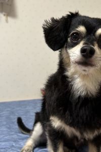 関東人 女性客 名鉄イン名古屋金山アネックス クーポン