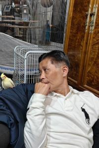 altonhuang0423 挪威森林文創館優惠