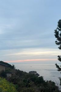 Snownychew 深圳龍華希爾頓逸林酒店優惠