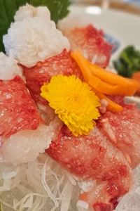 Tsang JR東日本橫濱櫻木町METS飯店優惠