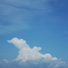 wingwp