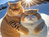 Lovelycats