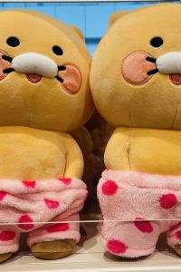 리뷰어 태안 숲속의바다 스파 펜션 쿠폰