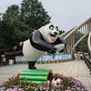nicachin