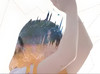 ponddesu