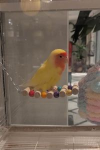 TY看世界 CityNote希諾酒店（廣州北京路省人民醫院店）優惠