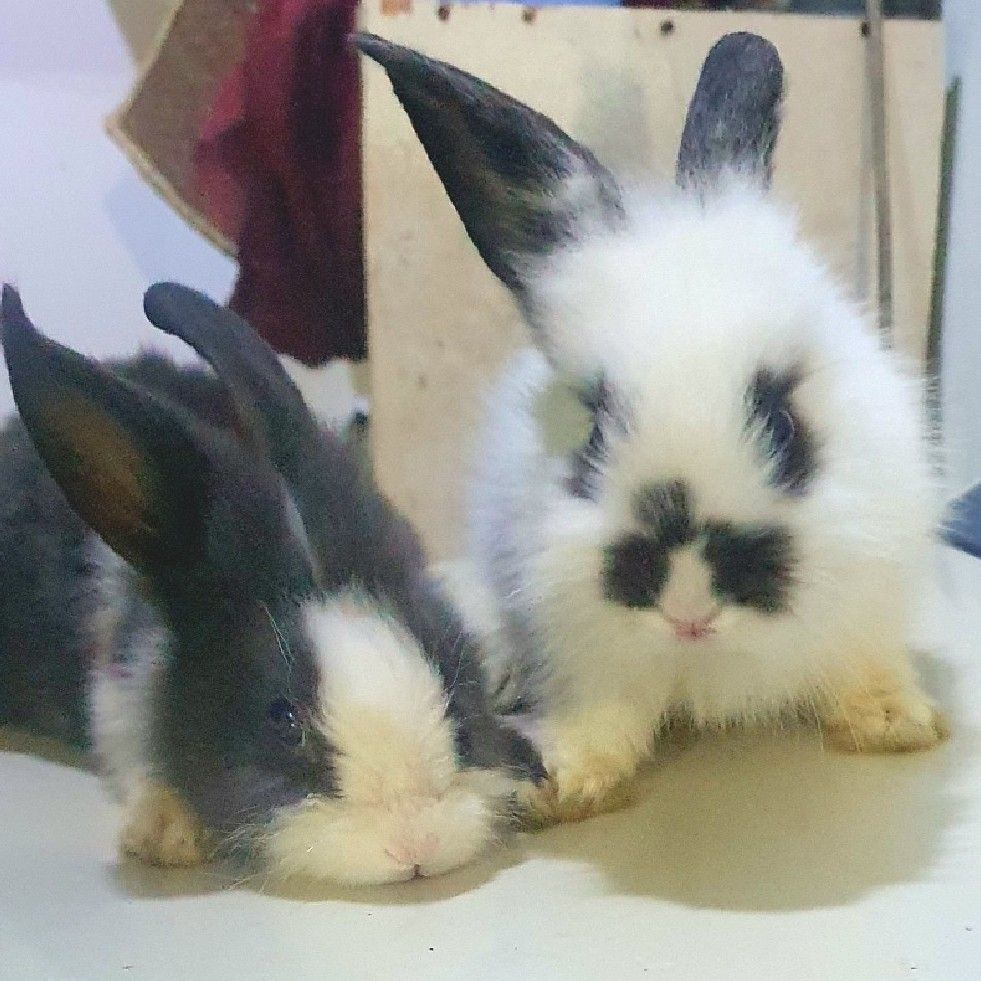 love it Kudat Division Travelogues