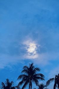 Lev2211 KOMU飯店優惠