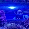 Avatar 1