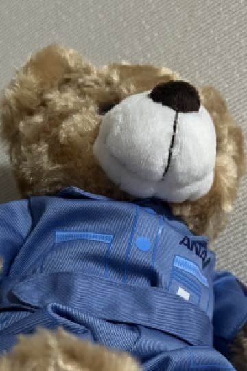 ゴマメ ホテルルートイン関 クーポン