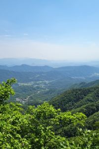 true017 臺中逢甲99旅宿優惠