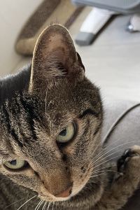 訪客用戶 那霸Hewitt度假村優惠