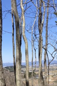 森保 グランパークホテルエクセル福島恵比寿 クーポン