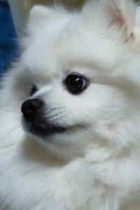 ゲスト ホテルエルディア山梨店 - 大人限定 クーポン