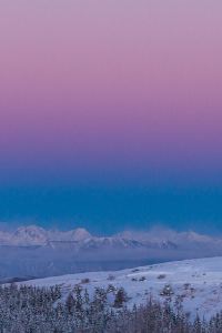 猫のマーブル ホテル ウィングインターナショナル須賀川 クーポン