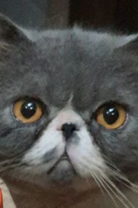 訪客用戶 宇都宮東武格蘭德飯店優惠