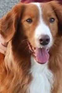 Fgbok#shdsjn ビジネスホテルニッセイ クーポン