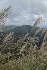 fykkk 中央飯店-成田2 R51優惠