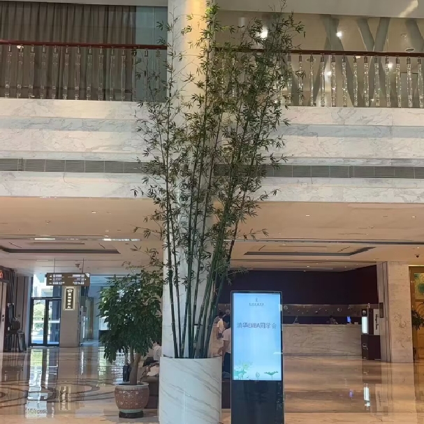 金駿眉