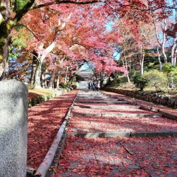 Nao Onishi