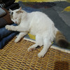 kamarudin yusof