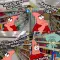 Where u go