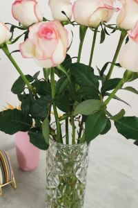 Ng WS Sandy 源蔵の湯　鳴子観光ホテル クーポン