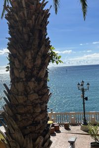 朱雅麗 台北慕軒飯店優惠