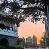 tw小魚乾