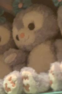 斌哥418 鹿児島グリーンゲストハウス クーポン