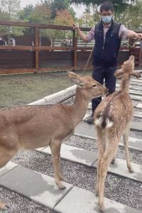黃峰 四季山妍溫泉會館優惠