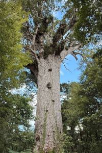 Herman旭 台中大毅老爺行旅優惠