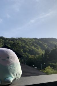 鴨哥與鴨妹 逸東軒住寓（香港灣仔峽道店）優惠