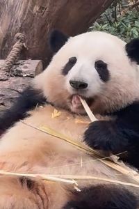 YuYuuuuu 新北板橋馥都飯店優惠