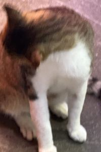 ynymgc 台北碩美精品旅店優惠