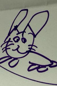 ｲｽ 仙台　秋保温泉　ホテル瑞鳳（ずいほう） クーポン