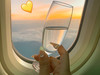 The travel addict
