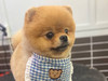 どんたろう