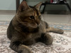 Ashraf0395