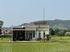 冠清ho