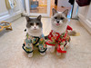 Milky&Milca