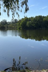 MMCCM 普吉島班泰希爾頓逸林飯店及度假村優惠