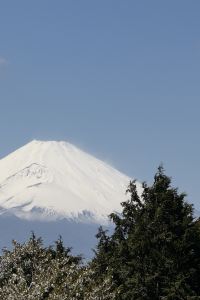 MeiMei81 博多冷泉 大和ROYNET PREMIER飯店優惠