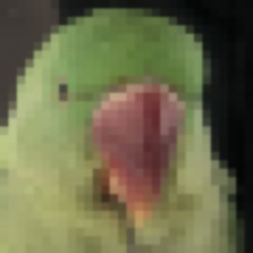 浮
