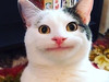 민더
