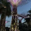 Avatar 1