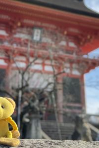 訪客用戶 雪梨百老匯 BREAKFREE 飯店優惠